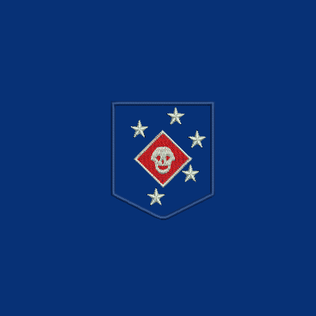 MARSOC Marine Raiders (digital design) / МОРСЬКІ РЕЙДЕРИ ВМС США (макет)