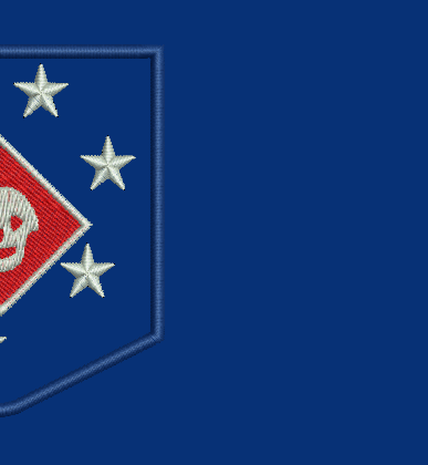 MARSOC Marine Raiders (digital design) / МОРСЬКІ РЕЙДЕРИ ВМС США (макет)